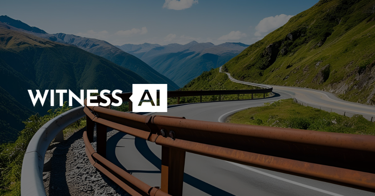 AI Safety Rails