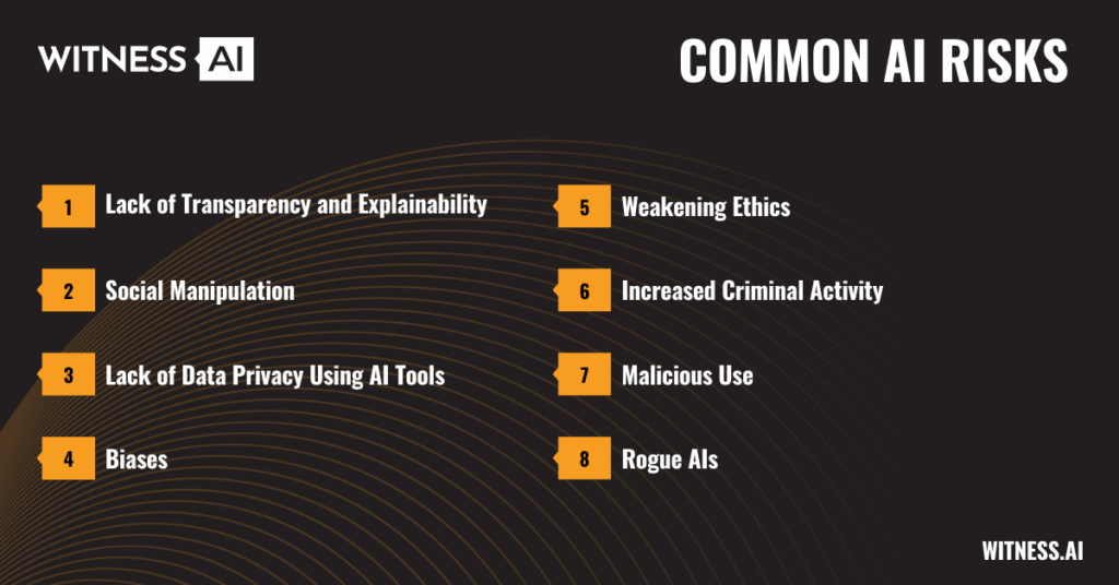 Common AI Risks