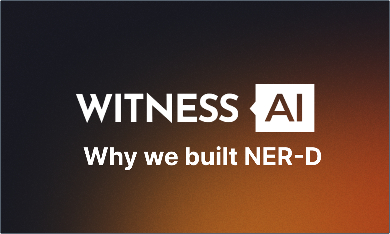 Why we built NER-D