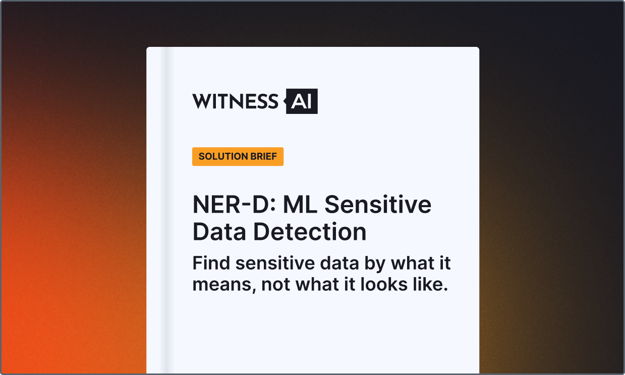 Ner-D Solution Brief